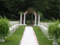 Wedding Themes