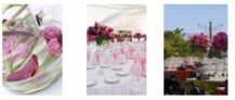 Event Planning