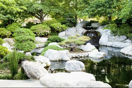 San Diego Japanese Friendship Garden
