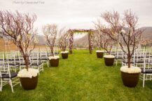 Floral Design-4